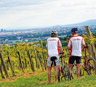 Bike Experience Vienna