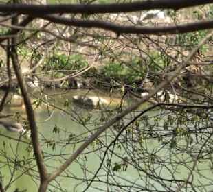 Spazierweg Ritter Museum