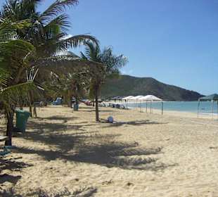 Player de Caribe4