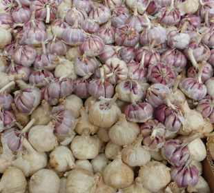 Und noch mehr Knoblauch