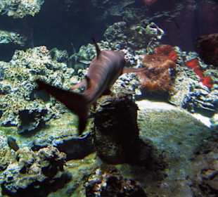 Tierpark Bochum - Impressionen