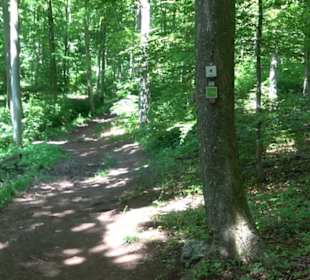 Premiumwanderweg "hochgelegen"