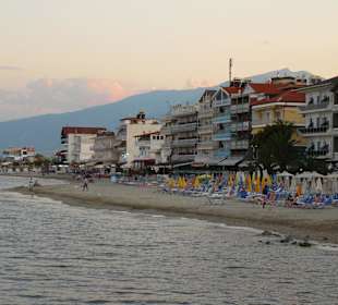 Paralia