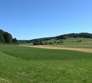 Ameisenlehrpfad Holzelfingen