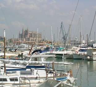 Hafen von Palma