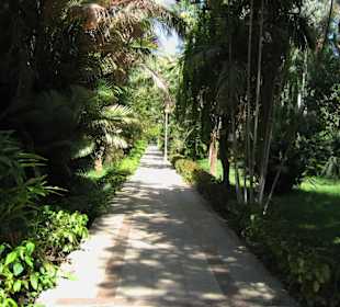 Rundgang über Geziret El-Nabatat