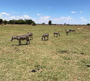 Wildnis Tours and Safaris - Diani Beach