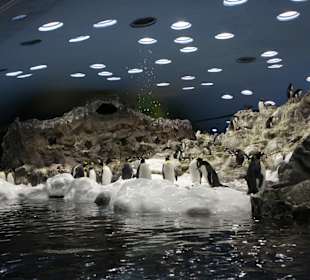 Es schneit da drinnen