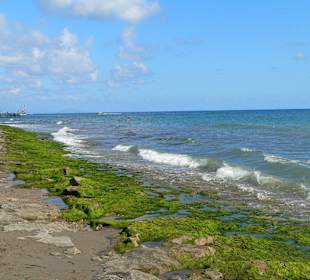 Niedaleko titan garden