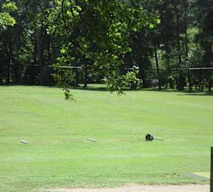 Golf-Club Hannover e.V., Garbsen