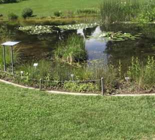 Botanischer Garten der Universität Zürich