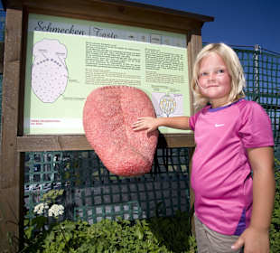 Sinne Erlebnispark - Schmecken