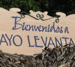 Bienvenidos Caya Levantado