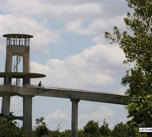 Shark Tower (Overlook Point)