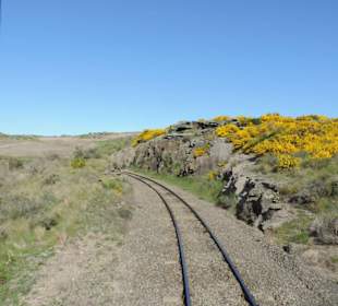 Mitder Taileri Railway durch die Natur Neuseelands