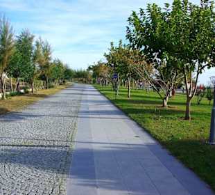 Aufgenommen vom 23.-29.11.2013