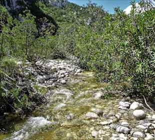 Impressionen aus dem Hinterland der Cala di Luna