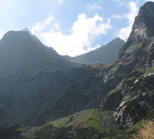 Plesnivec