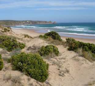 Philip Island