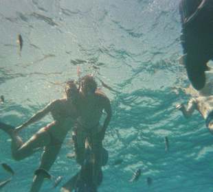 Wir beim Schnorcheln