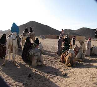 Vor dem Kamelritt