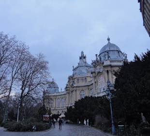 Burganlage Vajda-Hunyad