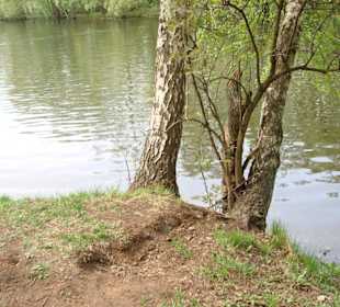 Усадьба Кузьминки