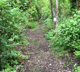 Mezger's Bürgle Park