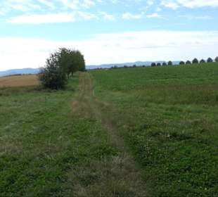 Sonnenaufgangs-Rundwanderung Rübgarten