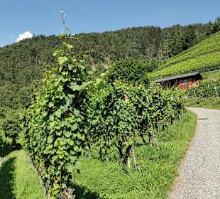 Wandern Velturno / Feldthurns