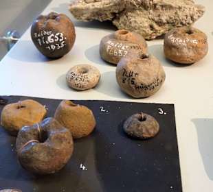 Fundstücke aus der Region im Heimatmuseum