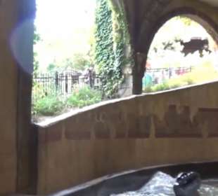 Mystery - River Quest