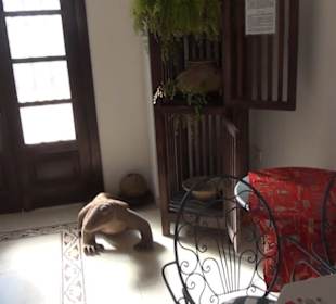 Museo Etnográfico Tanit