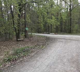 Wanderweg Firstwaldrunde