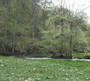 Wasserfall Hoher Gießel