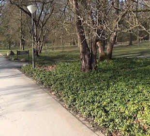 Botanischer Garten - Rombergpark