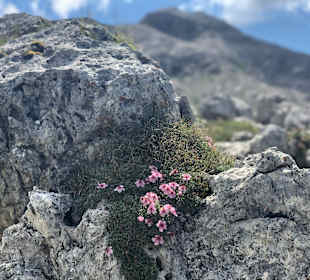 Wandern Selva di Val Gardena