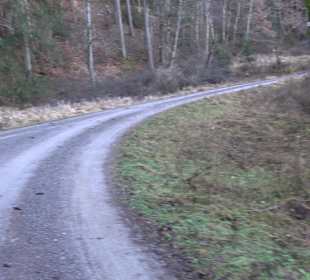 Wanderung rund um den Ochsenweiher