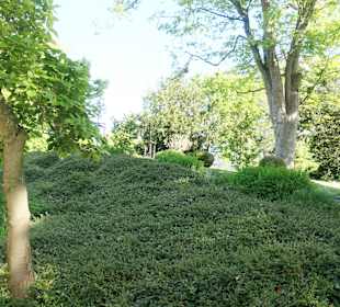 Bei einem Bummel durch den Wiesbadener Kurpark