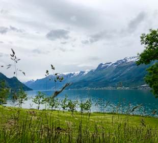 Ausflug Eidfjord Obstregion