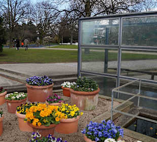 Anlage Planten un Blomen