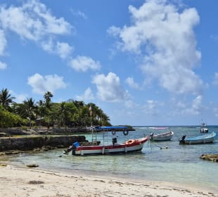 Akumal Schildkröten Strand 