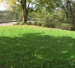 Schlossgarten Schloss Tettnang