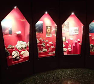 In der geologischen Abteilung