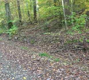 Keltische Grabstätten Stockach