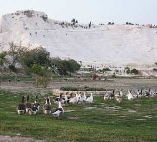 Kalkterrassen von Pamukkale