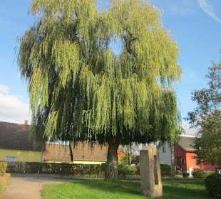 Schwanenweiher Kandel