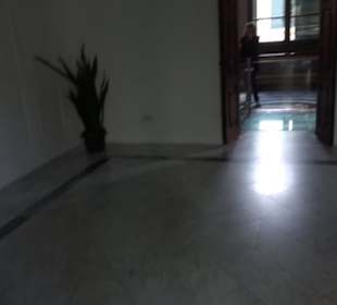 Palace State Rooms