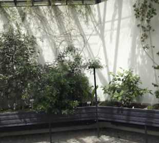 Alter botanischer Garten