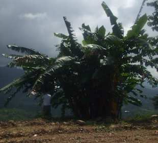 Pura Vida Nationalpark